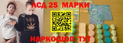 молекула духа Гатчина