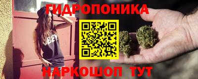 молекула духа Гатчина