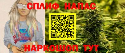 молекула духа Гатчина