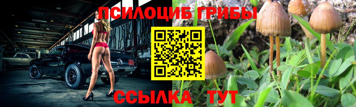 Псилоцибиновые грибы Magic Shrooms  Вход с VPN  Калач-на-Дону 